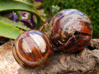 Polished Red Podocarpus Petrified Wood Spheres x 2 From Mahajanga, Madagascar