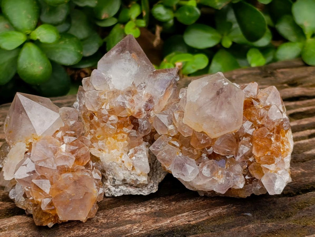 Natural Smokey Phantom Amethyst Spirit Clusters x 12 From Boekenhouthoek, South Africa