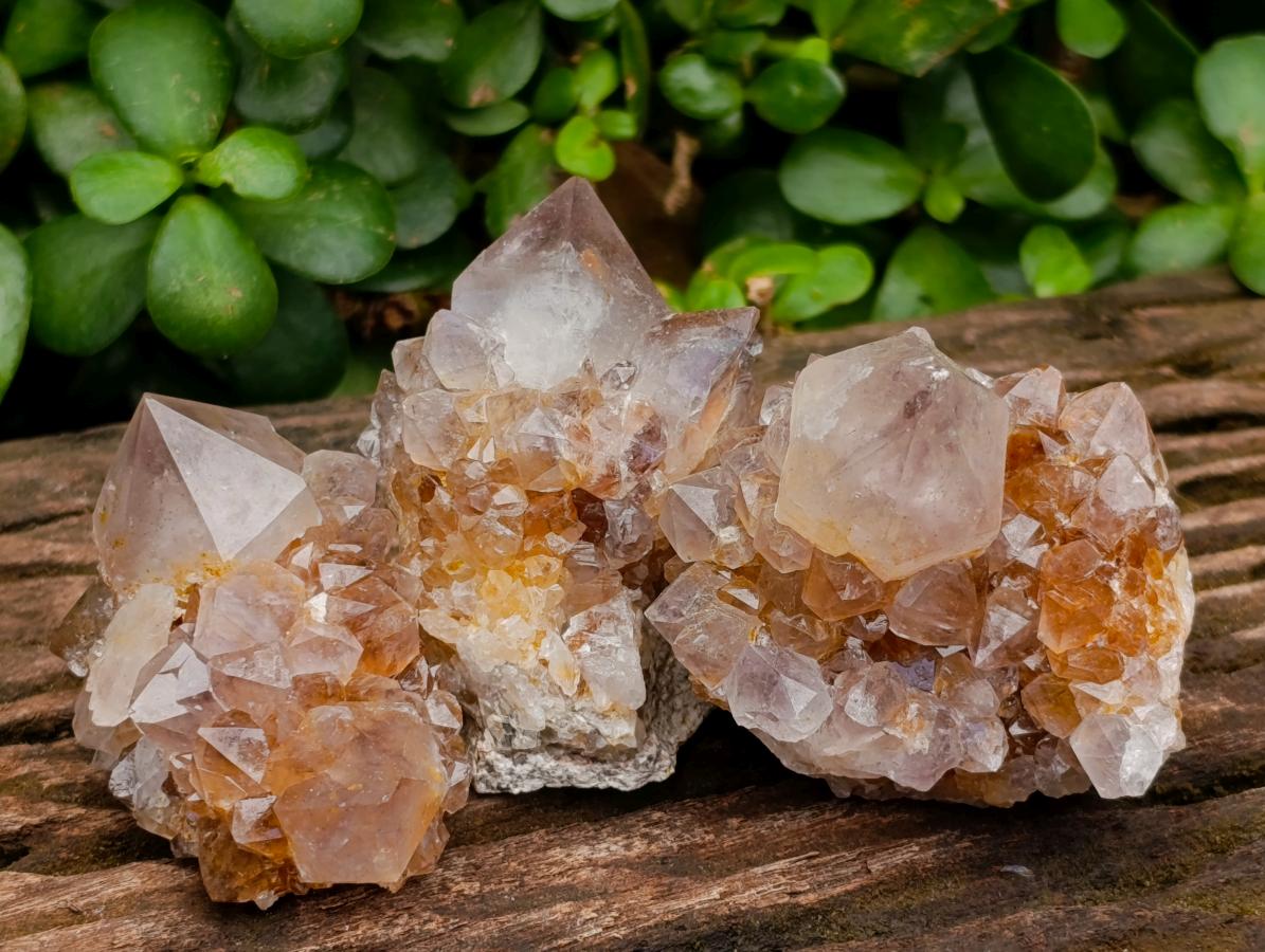 Natural Smokey Phantom Amethyst Spirit Clusters x 12 From Boekenhouthoek, South Africa