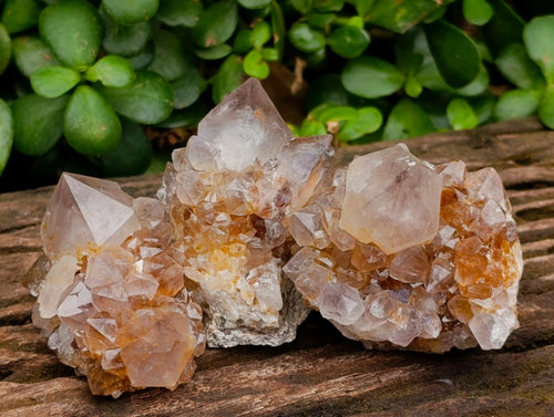 Natural Smokey Phantom Amethyst Spirit Clusters x 12 From Boekenhouthoek, South Africa