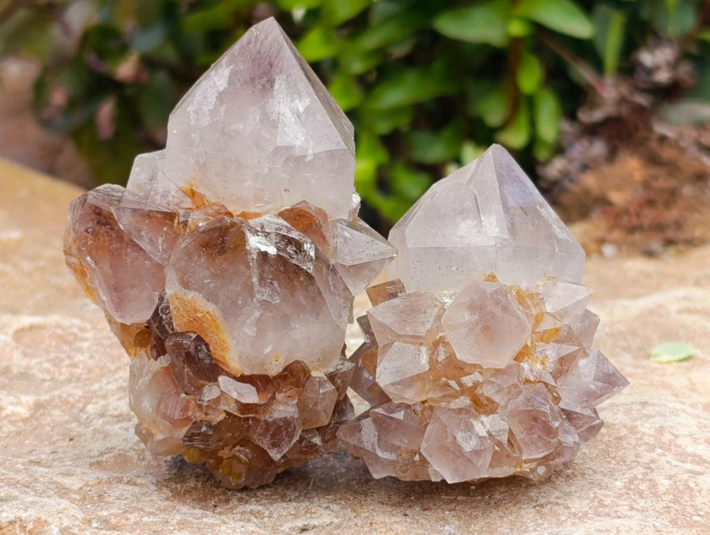 Natural Smokey Phantom Amethyst Spirit Clusters x 12 From Boekenhouthoek, South Africa