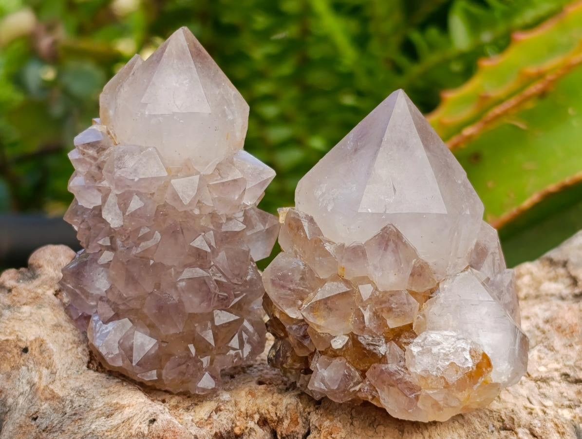 Natural Smokey Phantom Amethyst Spirit Clusters x 12 From Boekenhouthoek, South Africa