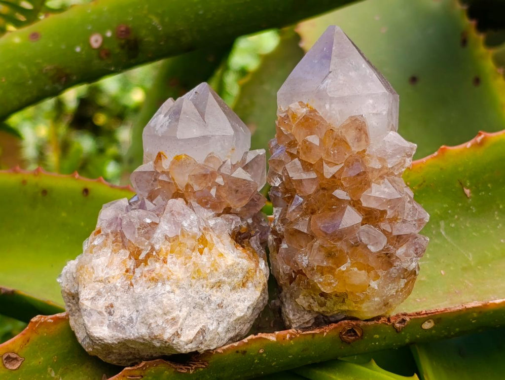 Natural Smokey Phantom Amethyst Spirit Clusters x 12 From Boekenhouthoek, South Africa