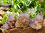 Natural Smokey Phantom Amethyst Spirit Clusters x 12 From Boekenhouthoek, South Africa