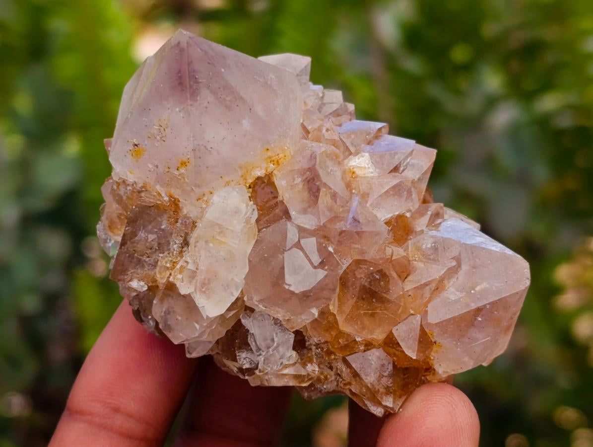 Natural Smokey Phantom Amethyst Spirit Clusters x 12 From Boekenhouthoek, South Africa
