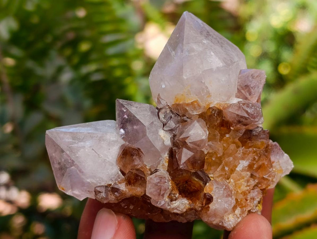 Natural Smokey Phantom Amethyst Spirit Clusters x 12 From Boekenhouthoek, South Africa