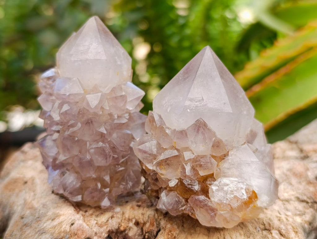 Natural Smokey Phantom Amethyst Spirit Clusters x 12 From Boekenhouthoek, South Africa