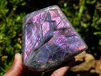 Polished Rare Purple Sunset Flash Labradorite Standing Free Forms x 2 From Madagascar