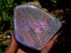 Polished Rare Purple Sunset Flash Labradorite Standing Free Forms x 2 From Madagascar