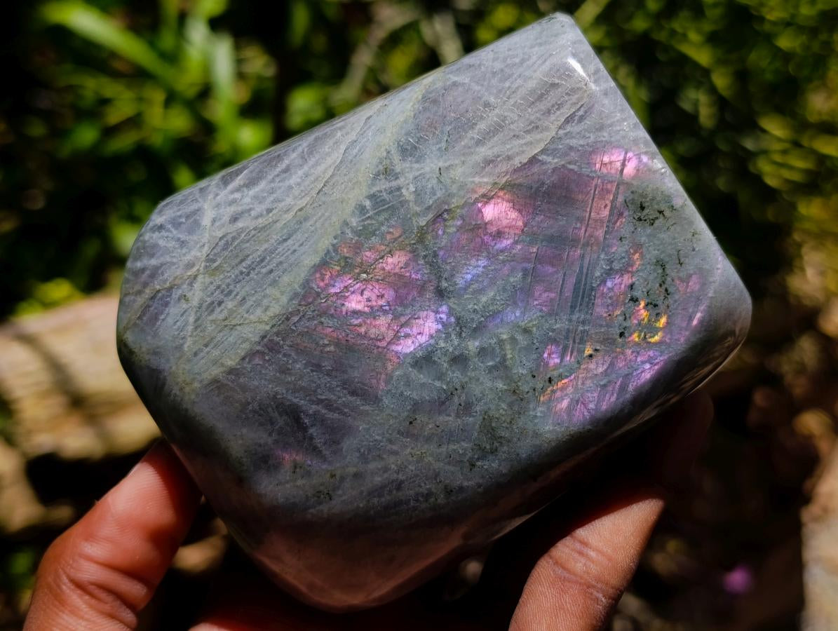 Polished Rare Purple Sunset Flash Labradorite Standing Free Forms x 2 From Madagascar