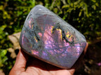 Polished Rare Purple Sunset Flash Labradorite Standing Free Forms x 2 From Madagascar