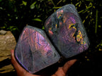 Polished Rare Purple Sunset Flash Labradorite Standing Free Forms x 2 From Madagascar