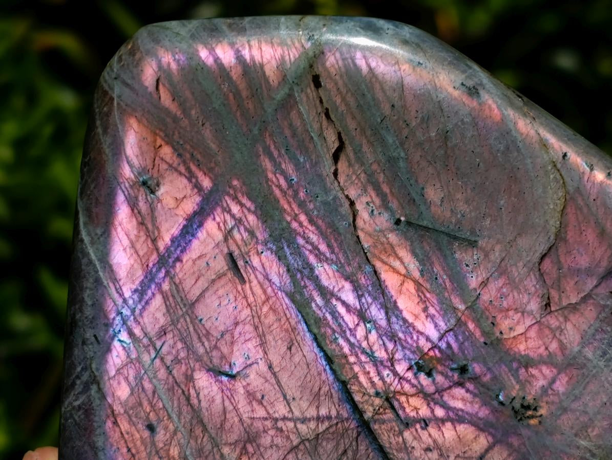 Polished Rare Purple Sunset Flash Labradorite Standing Free Forms x 2 From Madagascar