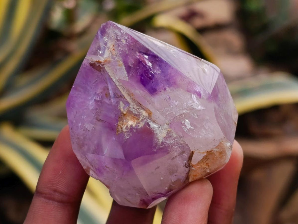 Natural Window Amethyst Crystals x 6 From Akansobe, Madagascar
