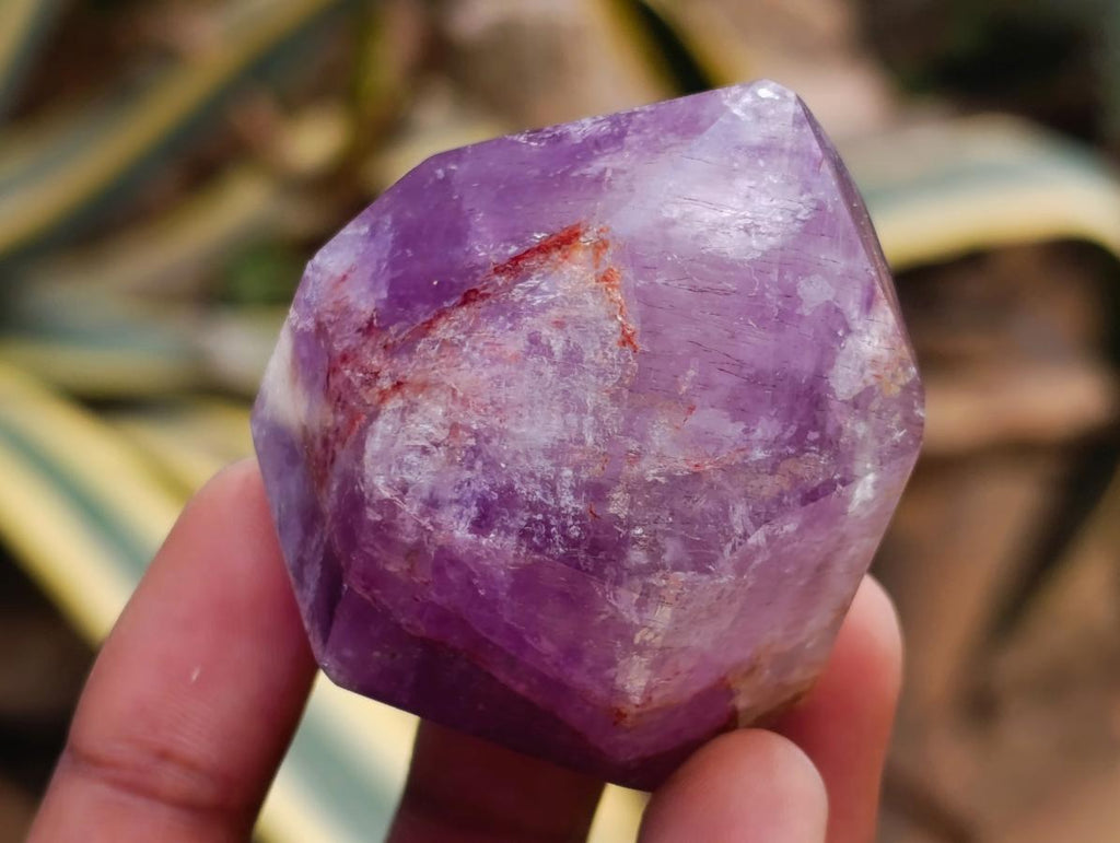 Natural Window Amethyst Crystals x 6 From Akansobe, Madagascar