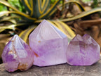Natural Window Amethyst Crystals x 6 From Akansobe, Madagascar
