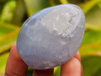 Polished Rare Blue Celestite Free Forms x 12 From Sakoany, Madagascar