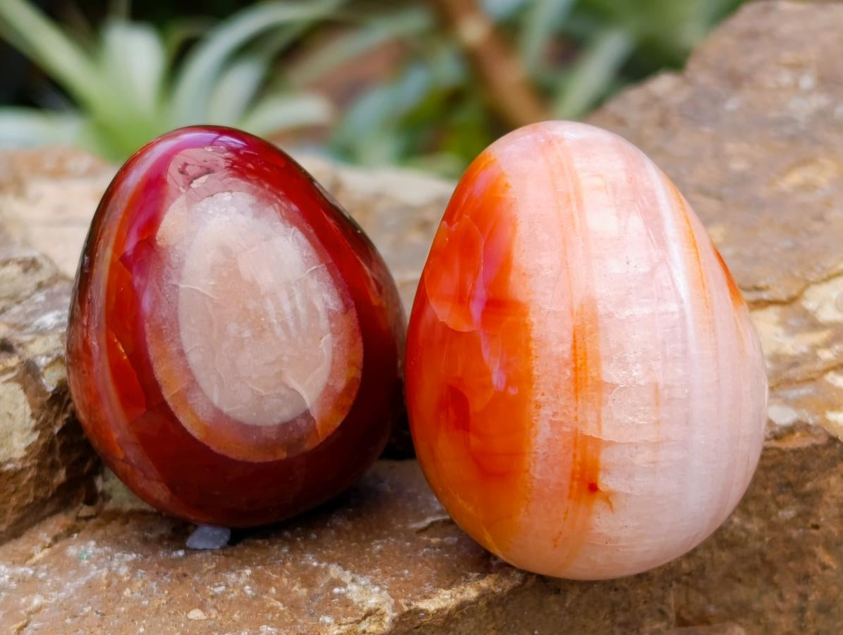 Polished Carnelian Agate Gemstone Eggs x 17 From Madagascar
