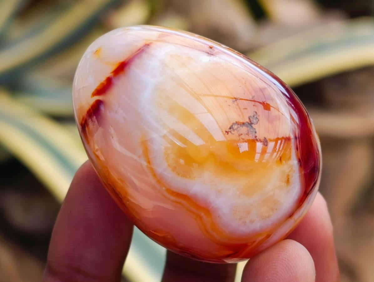 Polished Carnelian Agate Gemstone Eggs x 17 From Madagascar