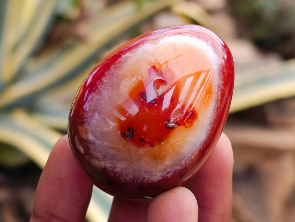 Polished Carnelian Agate Gemstone Eggs x 17 From Madagascar