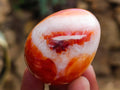 Polished Carnelian Agate Gemstone Eggs x 17 From Madagascar