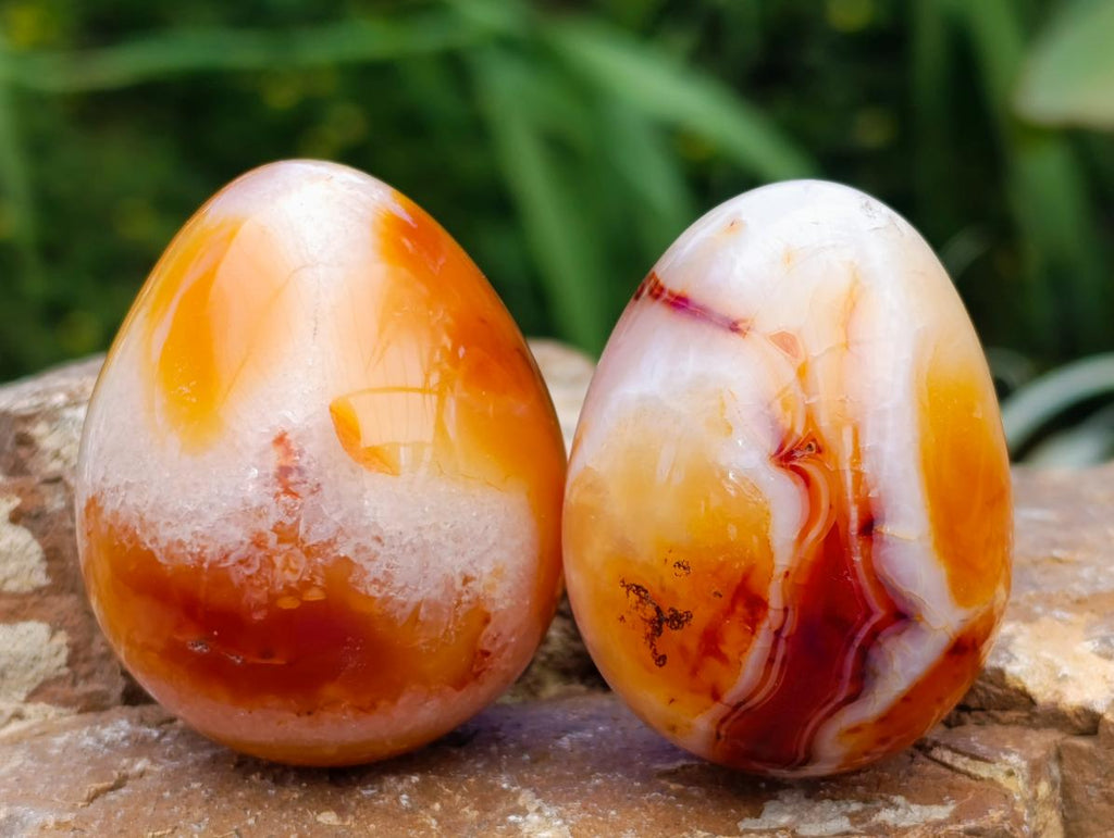 Polished Carnelian Agate Gemstone Eggs x 17 From Madagascar