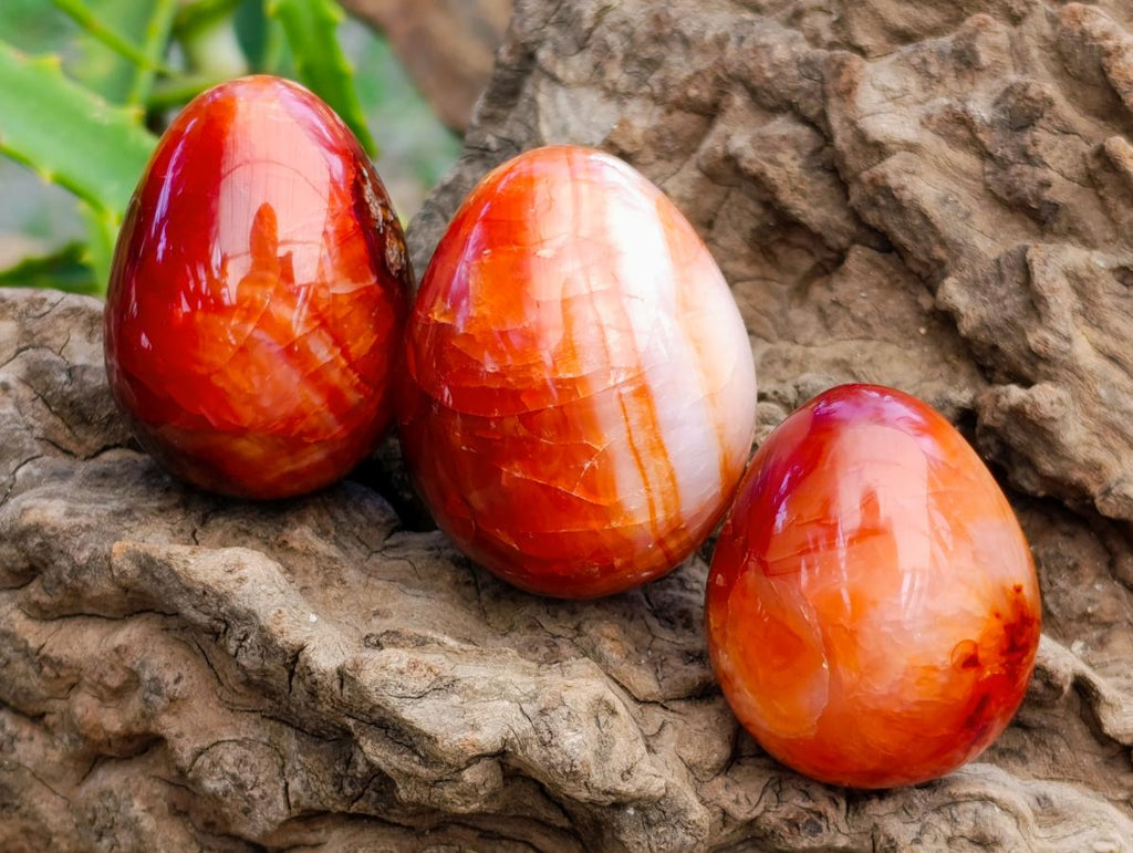 Polished Carnelian Agate Gemstone Eggs x 17 From Madagascar