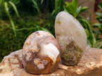 Polished Flower Agate Standing Free Forms x 4 From Antsahalova, Madagascar