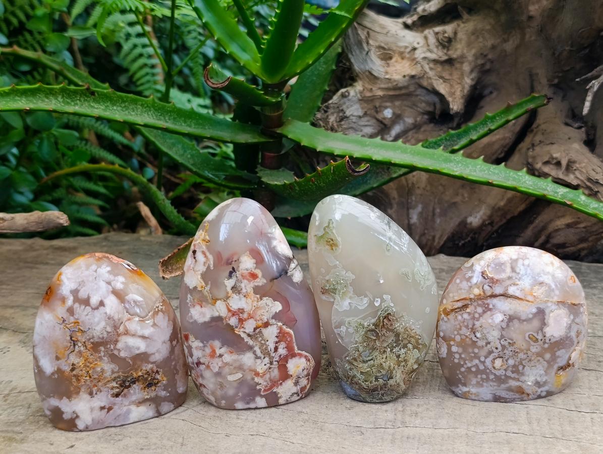 Polished Flower Agate Standing Free Forms x 4 From Antsahalova, Madagascar