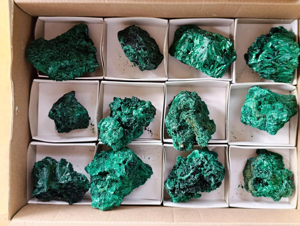 Natural Silky Malachite Specimens x 12 From Kasompe, Congo
