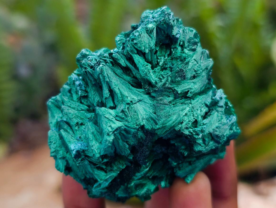 Natural Silky Malachite Specimens x 12 From Kasompe, Congo