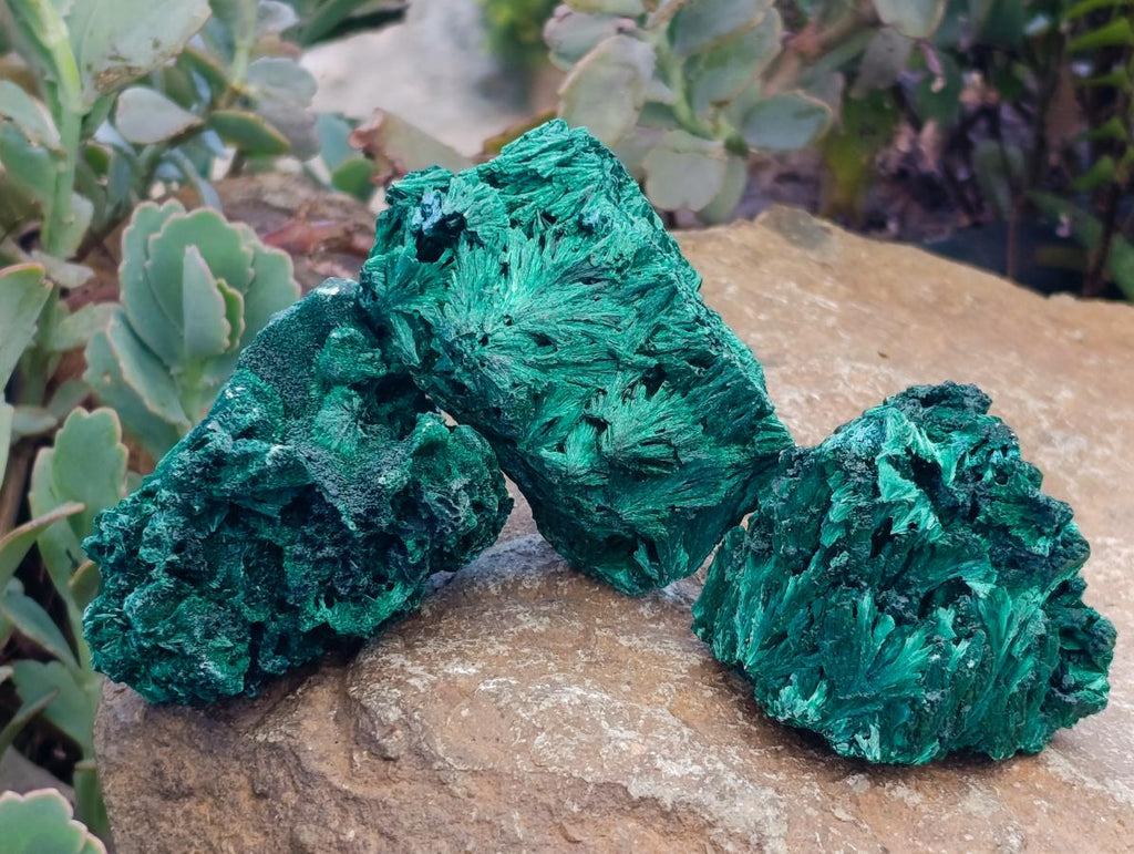 Natural Silky Malachite Specimens x 12 From Kasompe, Congo