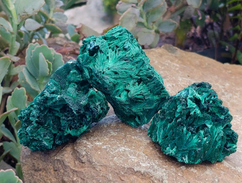 Natural Silky Malachite Specimens x 12 From Kasompe, Congo