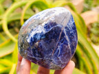 Polished Sodalite Standing Free Forms x 3 From Kunene River, Namibia