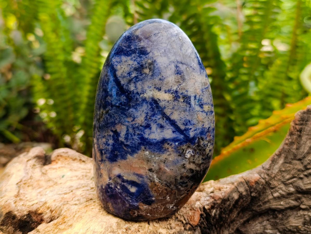 Polished Sodalite Standing Free Forms x 3 From Kunene River, Namibia