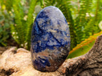 Polished Sodalite Standing Free Forms x 3 From Kunene River, Namibia