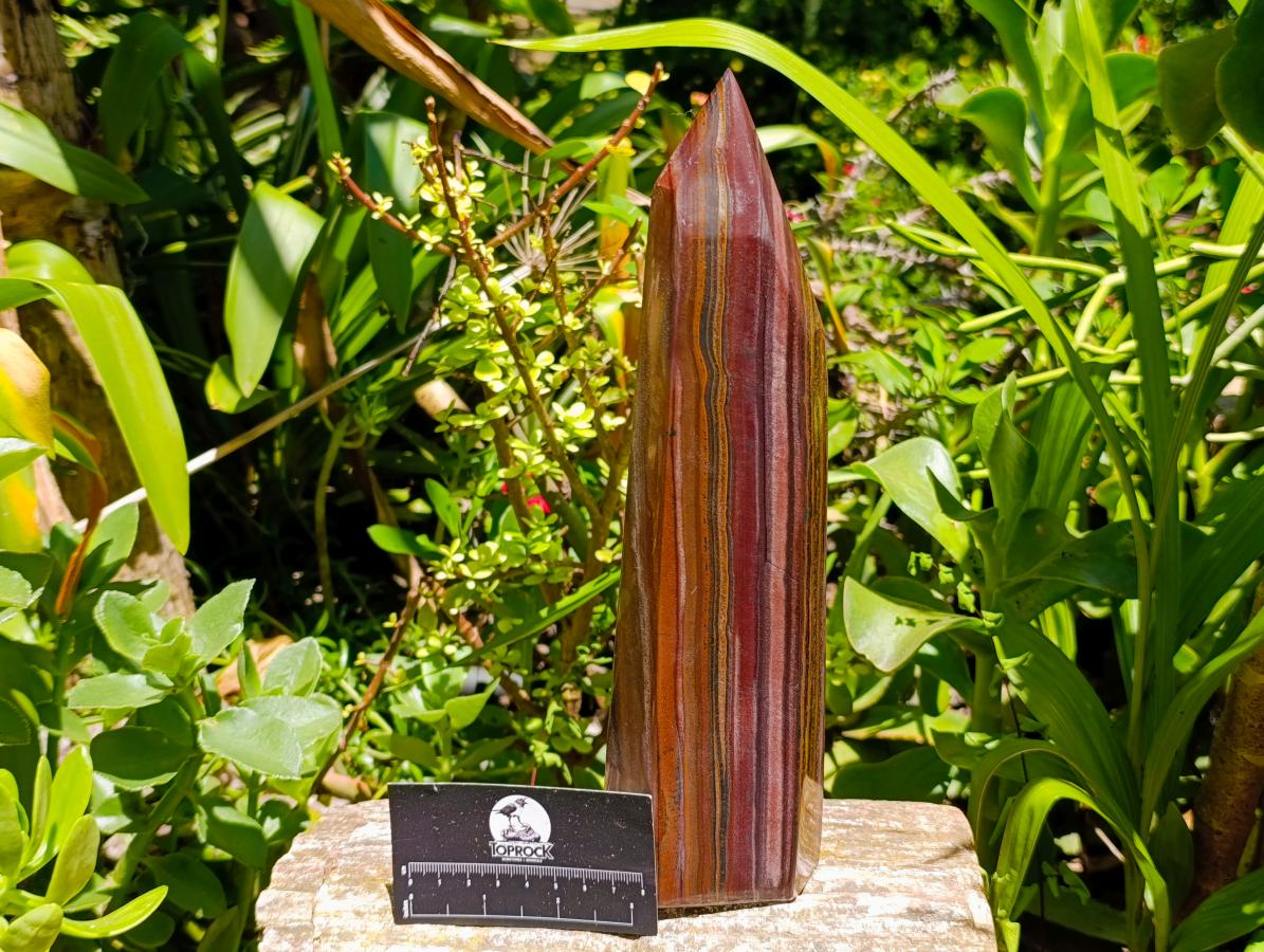 Polished Large Banded Tiger Iron Display Crystal x 1 From South Africa