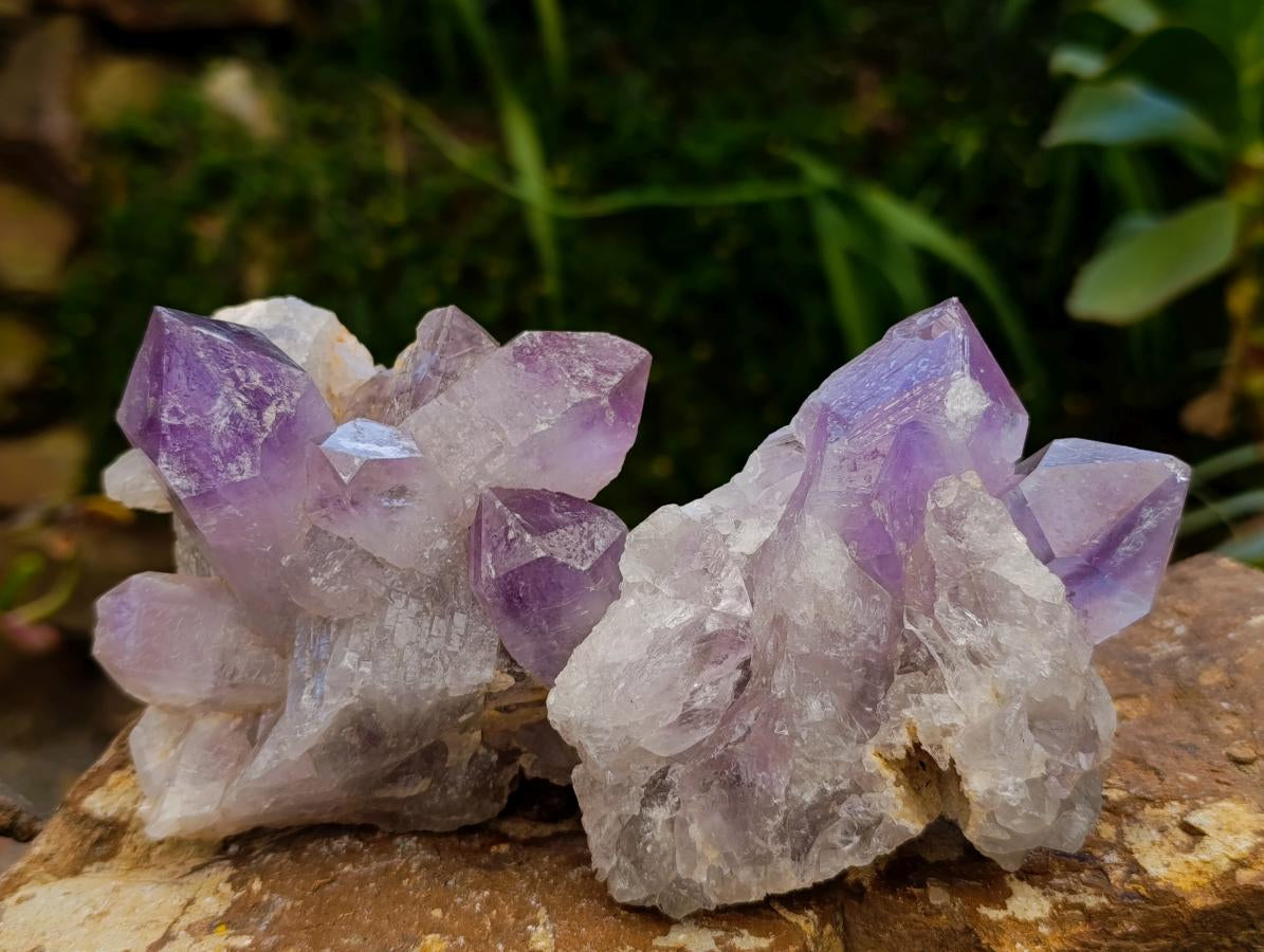 Natural Jacaranda Amethyst Crystal Clusters x 6 From Mumbwa, Zambia