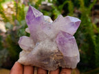 Natural Jacaranda Amethyst Crystal Clusters x 6 From Mumbwa, Zambia