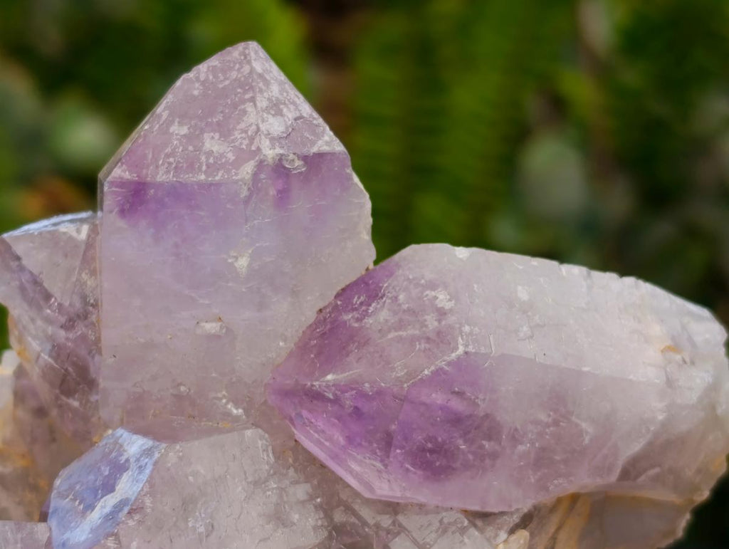Natural Jacaranda Amethyst Crystal Clusters x 6 From Mumbwa, Zambia
