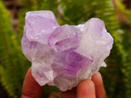 Natural Jacaranda Amethyst Crystal Clusters x 6 From Mumbwa, Zambia