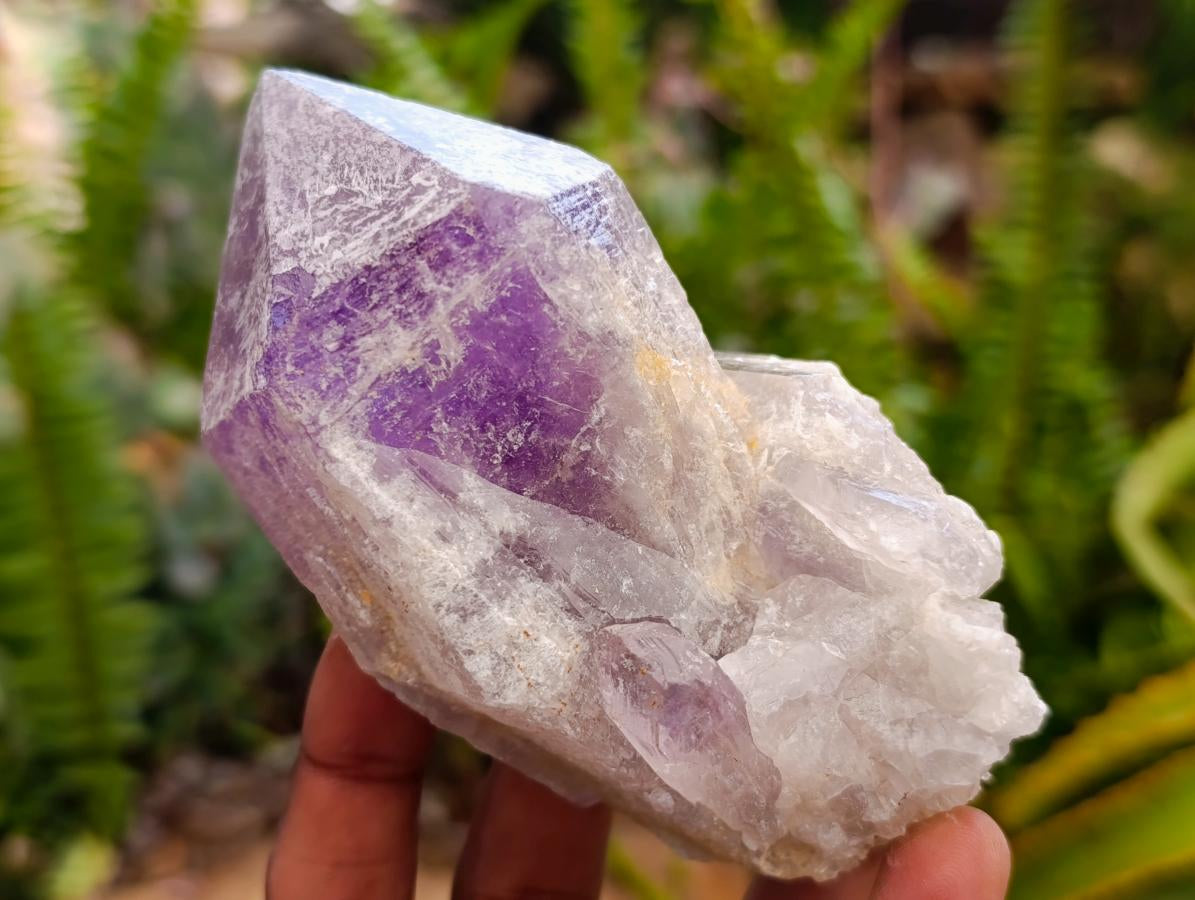 Natural Jacaranda Amethyst Crystal Clusters x 6 From Mumbwa, Zambia