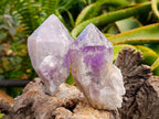 Natural Jacaranda Amethyst Crystal Clusters x 6 From Mumbwa, Zambia