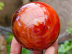 Polished Large Carnelian Agate Gemstone Spheres x 3 From Madagascar