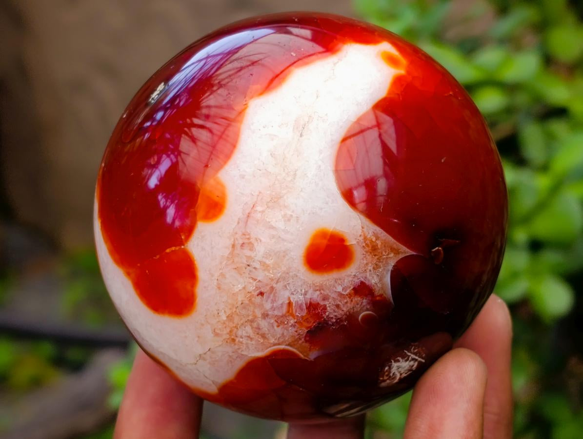 Polished Large Carnelian Agate Gemstone Spheres x 3 From Madagascar