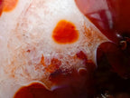 Polished Large Carnelian Agate Gemstone Spheres x 3 From Madagascar