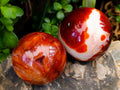 Polished Large Carnelian Agate Gemstone Spheres x 3 From Madagascar