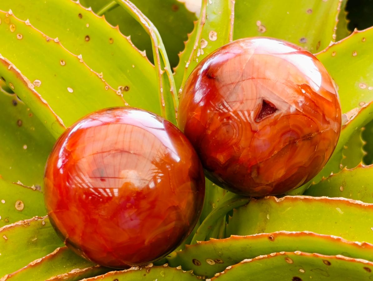 Polished Large Carnelian Agate Gemstone Spheres x 3 From Madagascar