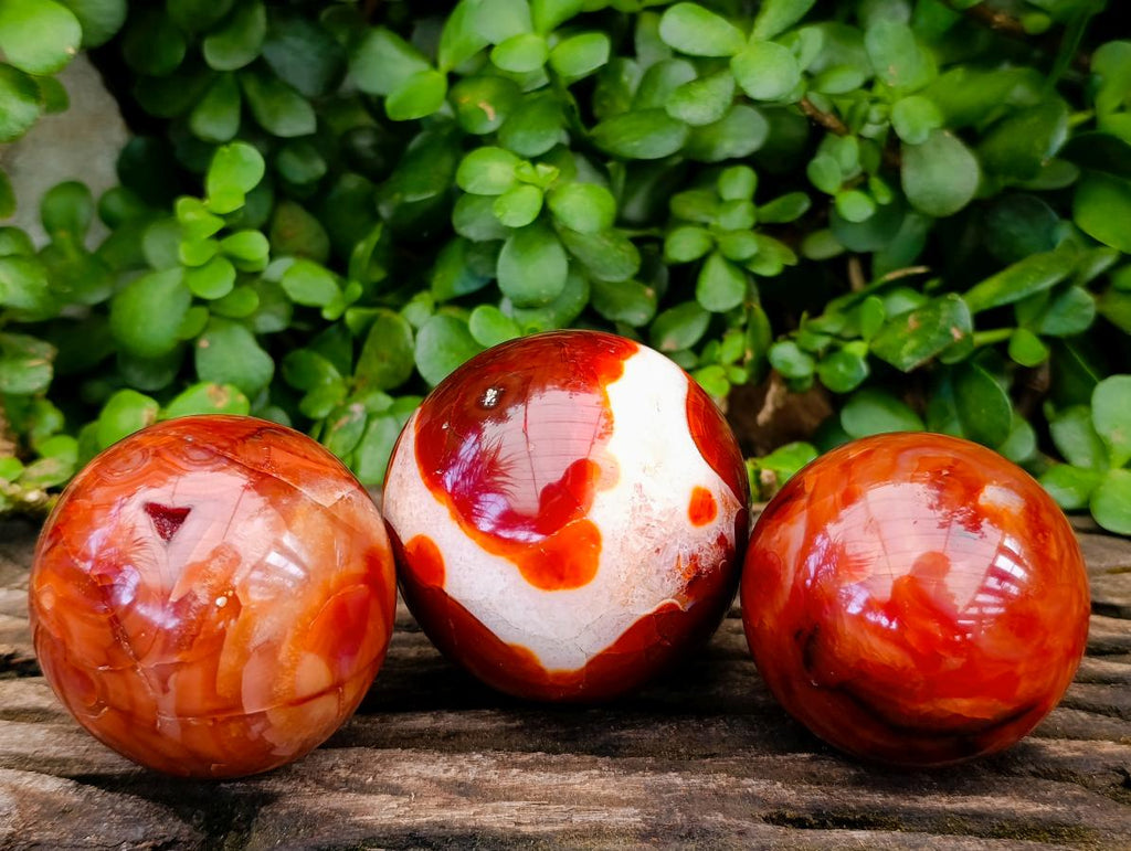 Polished Large Carnelian Agate Gemstone Spheres x 3 From Madagascar