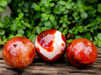 Polished Large Carnelian Agate Gemstone Spheres x 3 From Madagascar